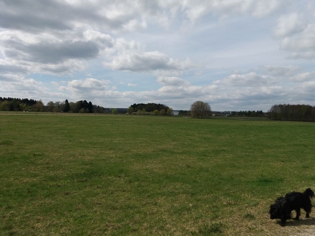 Im Frühjahr 2017 (9)